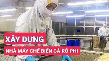 Sóc Trăng lần đầu xây nhà máy chế biến cá rô phi xuất khẩu