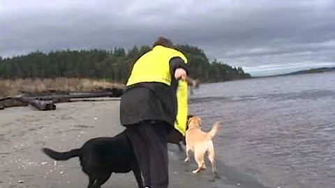 Day At The Beach