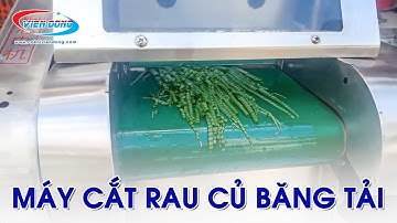Máy cắt rau củ băng tải YQC 660 - Máy thái rau củ công nghiệp | Cơ khí Viễn Đông