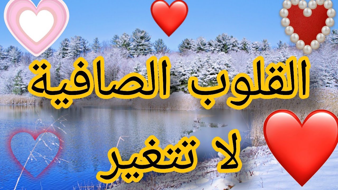 القلوب الصافية لا تتغير مهما طال الزمن 🤍