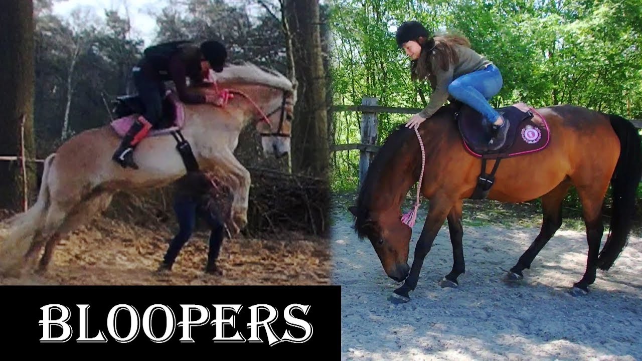 Horse bloopers and fails