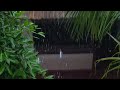 Heavy rain on leaves | rain for sleeping