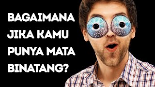 Bagaimana Jadinya Kalau Kamu Punya Mata Binatang? (Kamu Dapat Melihat ke Dalam Telingamu!)
