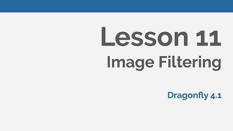 Dragonfly Daily 11 Image Filtering with Dragonfly (2020)