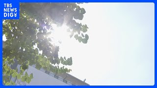 熱中症警戒アラート　今年の発表数は過去最多の1749回｜TBS NEWS DIG