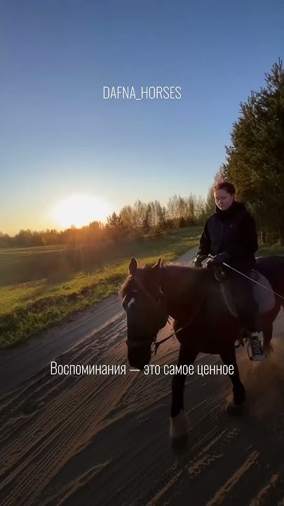 Конные прогулки СПб - YouTube