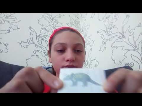 გილოცავთ თბილისობას