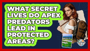 What Secret Lives Do Apex Predators Lead In Protected Areas? - The Geography Atlas