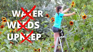 10 Tips to be a successful Lazy Gardener