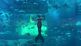 The Mermaid Show 2017  Dubai Mall Aquarium