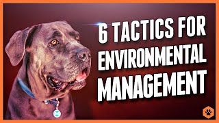 Conquer Canine Challenges: 6 Dog Training Strategies for Environmental Management