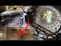 Bodies Left Behind! Mysterious Abandoned Mausoleum In The Woods (Germany)