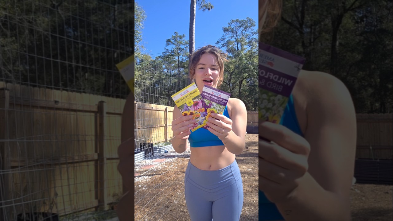 Planting Wildflowers 🌸 #wildflower #wildflowergarden #wildflowers #flowergarden