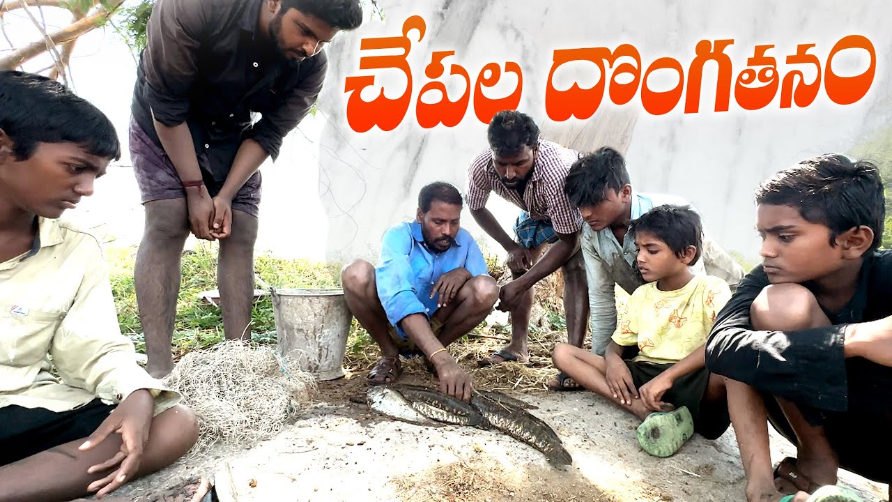 చేపలు దొంగతనం||villagers fish hunting||my village comedy||village thiefs||dhoom dhaam channel