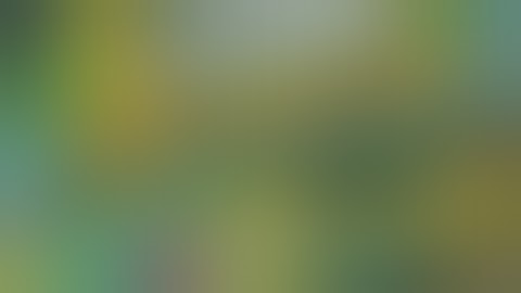 📢 5 Hidden Side Hustles That Make $10,000 a Month (That Nobody Talks About!)