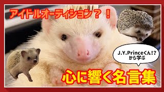 【ハリネズミさん】JYPからの名言集？！原宿初のハリハリオーディション開催！頑張るみんなの心に響く温かい言葉たち