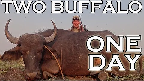 Hunting in Mozambique - TWO Cape Buffalo in ONE DAY