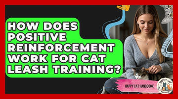 How Does Positive Reinforcement Work For Cat Leash Training? - Happy Cat Handbook