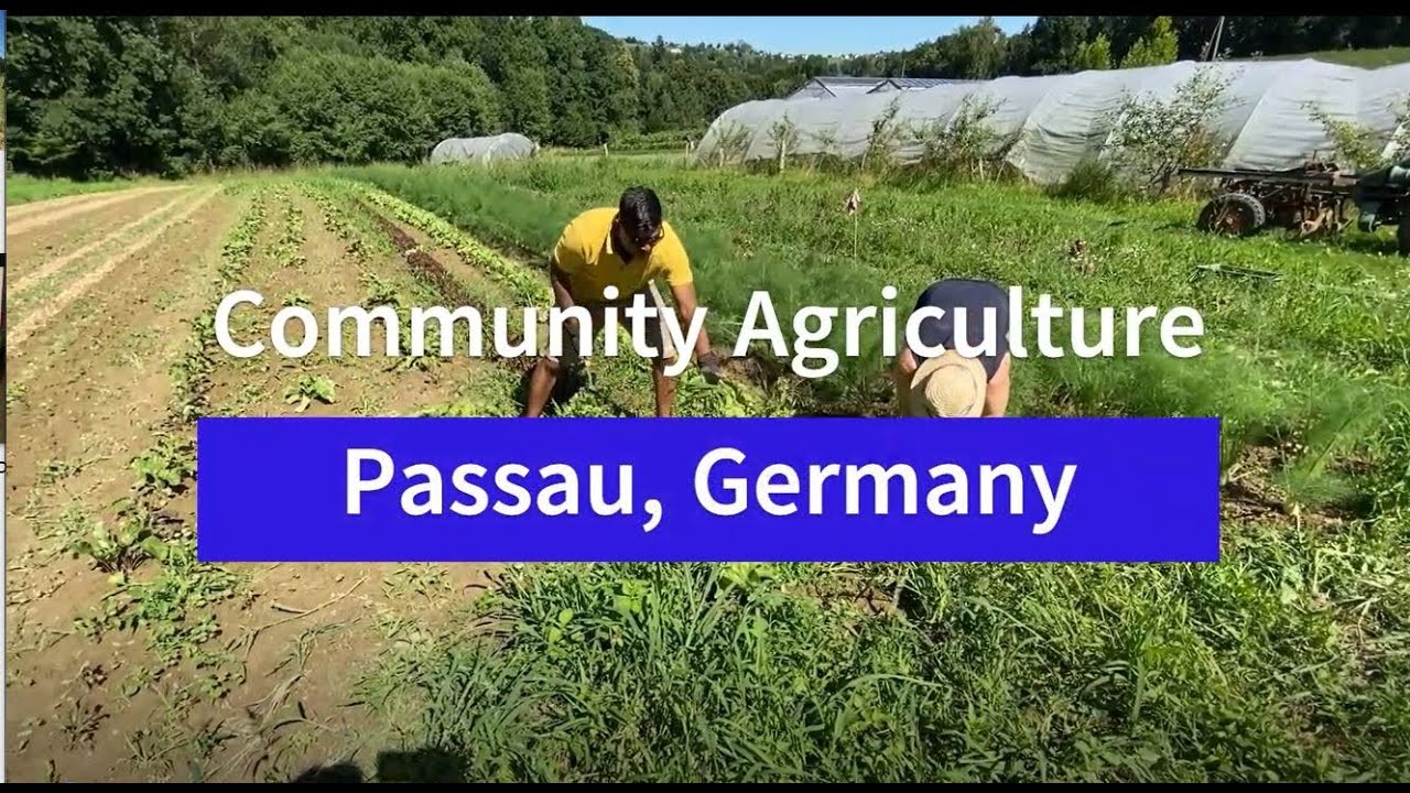 Community Agriculture | Passau | Germany