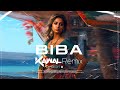 Biba remix  dj kawal x dj fresh