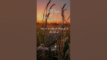 از ربا بپرهیز و صبر را در آغوش بگیر | سوره آل عمران 130-134 | #سوراحلیمران #شورت قرآنی #صبر