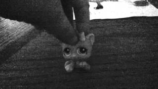 Lps kitty ghost hamster music video