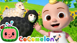 Download Lagu Baa Baa Black Sheep! 🐏 @TheMelonPatchLearningVideos | CoComelon Nursery Rhymes \u0026 Kids Songs MP3 Download Lagu Baa Baa Black Sheep! 🐏 @TheMelonPatchLearningVideos | CoComelon Nursery Rhymes \u0026 Kids Songs MP3