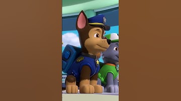 Rubble & Crew + PAW Patrol Theme Song Mashup w/ Lyrics! | Nick Jr. Music #shorts