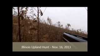 Illinois Pheasant Hunt - Public Land