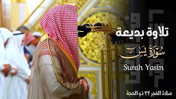 تلاوة بديعة من سورة يس للشيخ د. عبدالله القرافي ~ صلاة الفجر 22 دو الحجة 1446هـ