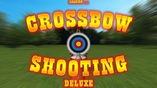 crossbow shooting deluxe is a simulator game screenshot 1