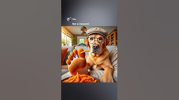 How To Correctly Eat Cheetos..😳 #ai #memes #funny