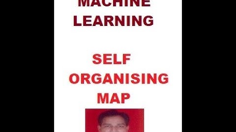Self Organising Map(SOM)