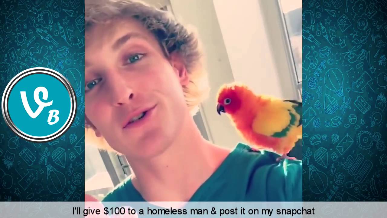 Logan Paul Vine Compilation