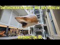 Smithsonian natural history museum tour  washington dc