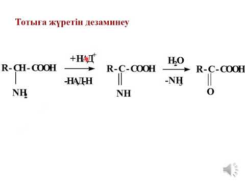 Бейне: Аниондық комплекс дегеніміз не?