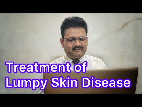 Treatment of Lumpy