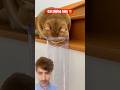 #automobile #aliexpresssmartgadgets #asmr #funny #gadgests #comedy #ilovegadgets #satisfying #shorts