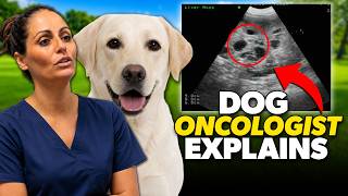 Dog Cancer: Signs, Treatment &amp; Prevention (Vet Oncologist)