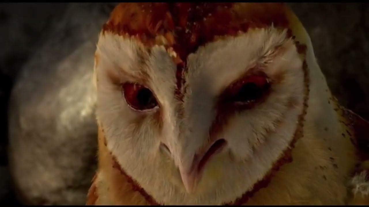 Owl who dreams of legendary heroes but instead finds himself kidnapped | Animated Movie Explained 