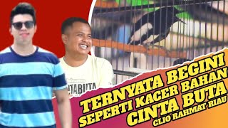 Ini Dia Cara Merawat Kacer Cinta Buta - Kacer Juara - Kacer Konslet