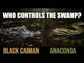 The Internet Has This Fight Completely Wrong — Caiman vs Anaconda (Real Science)