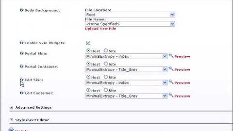 How to customize your DotNetNuke appearance changing skins