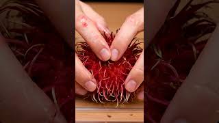 Hands squeezing rambutan ASMR  #asmrtingles #asmr #satisfying #asmrsounds #relaxing #asmrmatter