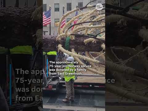 Rockefeller Center Christmas tree arrives for holidays