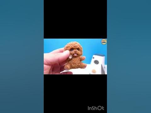 Познаватель мем #мурка #рекомендации #познователь - YouTube