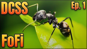 DUNGEON CRAWL STONE SOUP in 2020 v25: Let