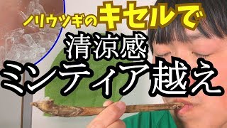 【アウトドアではこれだ！】ミンティアは終わった。キセルでハッカ脳とトドマツ精油を吸うべし！