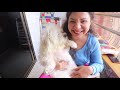 Dog Ear Cleaning Day | Ss Vlogs :-)