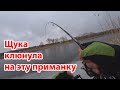 Рыбалка Щука клюнула на эту приманку Ловля щуки перед сходом льда на спиннинг